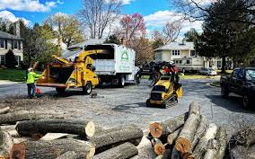 Best Firewood Processing and Delivery  in Roosevelt, UT